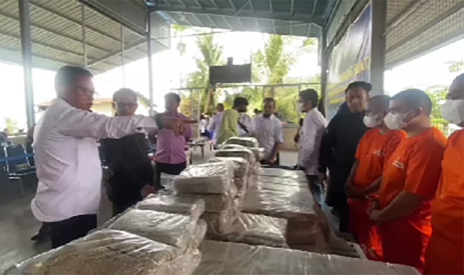 BNNP Sumbar Musnahkan Ganja 622,3 Kg Hasil Tangkapan 11 Oktober 2024
